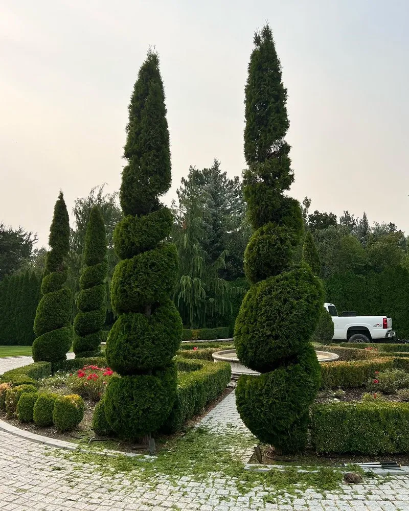Trusted yard cleanup service for residential properties in West Valley, UT by Waterstone Landscaping