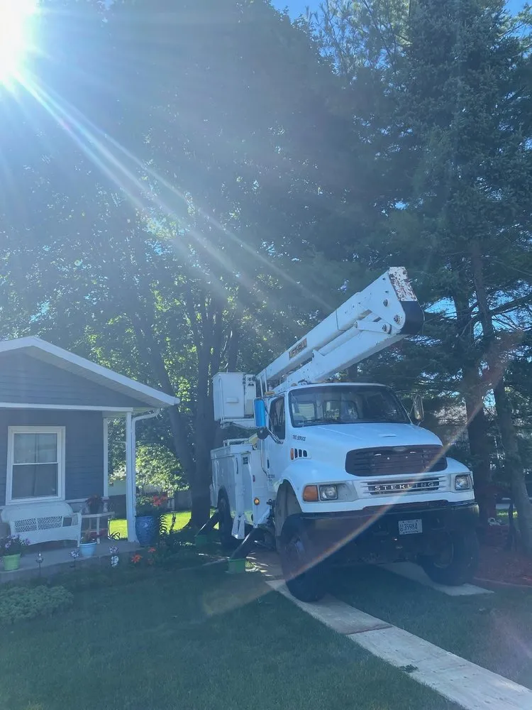 Reliable yard cleanup service for year-round maintenance across Watertown, WI - Watertown Forever Green Lawn Care & Property Maintenance