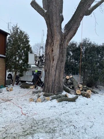 Affordable landscape installation experts serving Watertown, WI - Watertown Forever Green Lawn Care & Property Maintenance