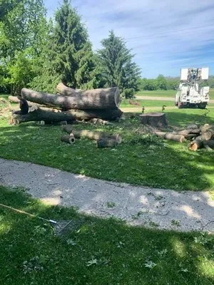 Professional yard cleanup service near you in Watertown, WI by Watertown Forever Green Lawn Care & Property Maintenance
