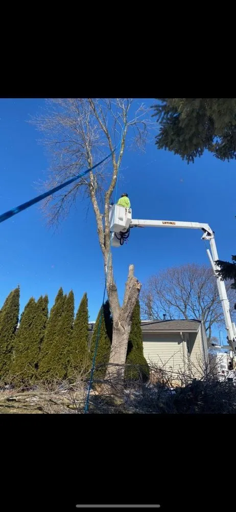 Trusted residential landscaping for year-round maintenance across Watertown, WI - Watertown Forever Green Lawn Care & Property Maintenance