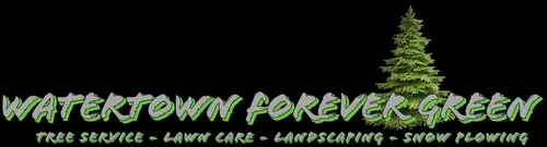 Custom landscape installation in Watertown, WI by Watertown Forever Green Lawn Care & Property Maintenance