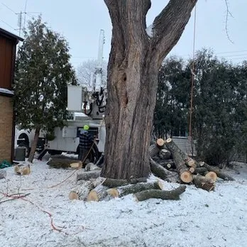 Professional garden landscaping in Watertown, WI - Watertown Forever Green Lawn Care & Property Maintenance