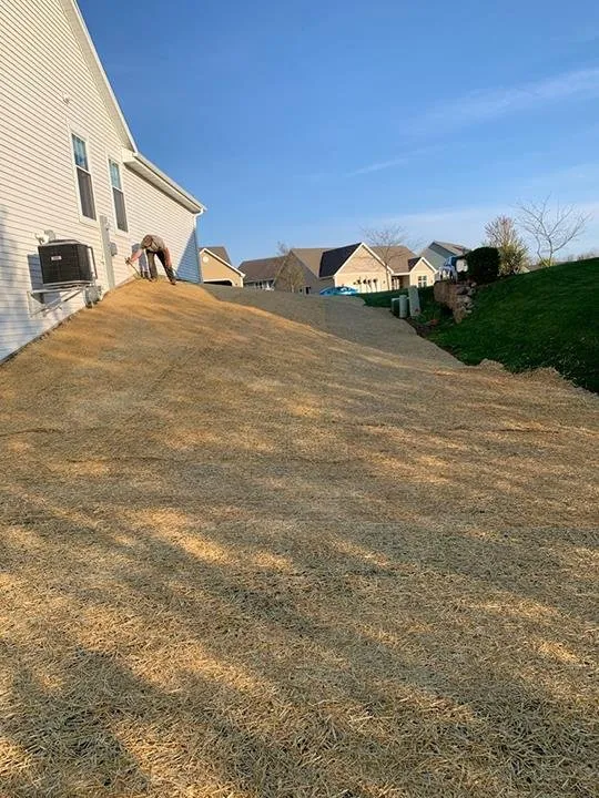 Reliable landscape installation experts serving Watertown, WI - Watertown Forever Green Lawn Care & Property Maintenance