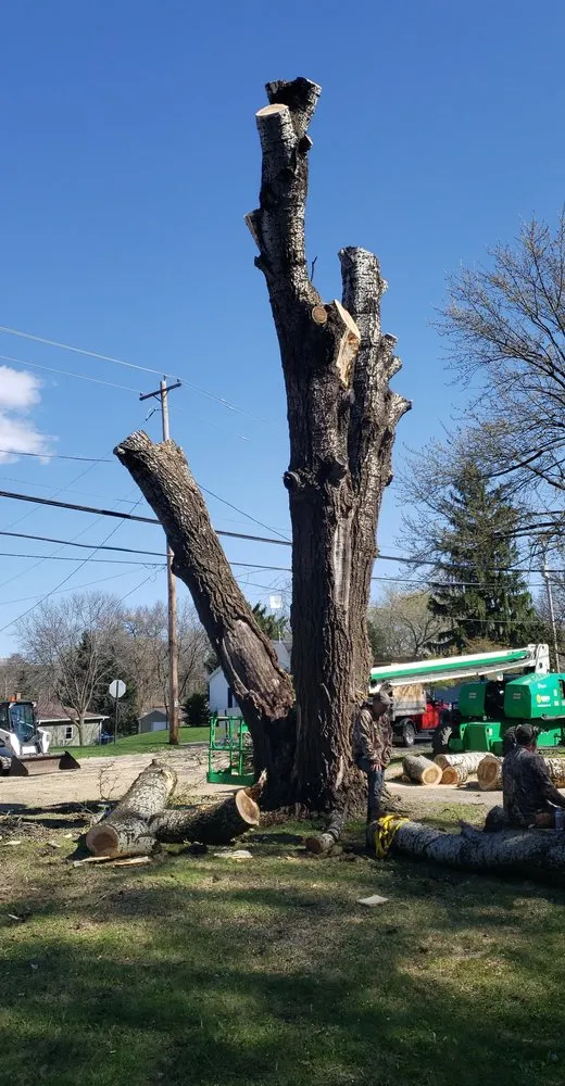 Top-rated garden landscaping near you in Watertown, WI by Watertown Outdoor Maintenance