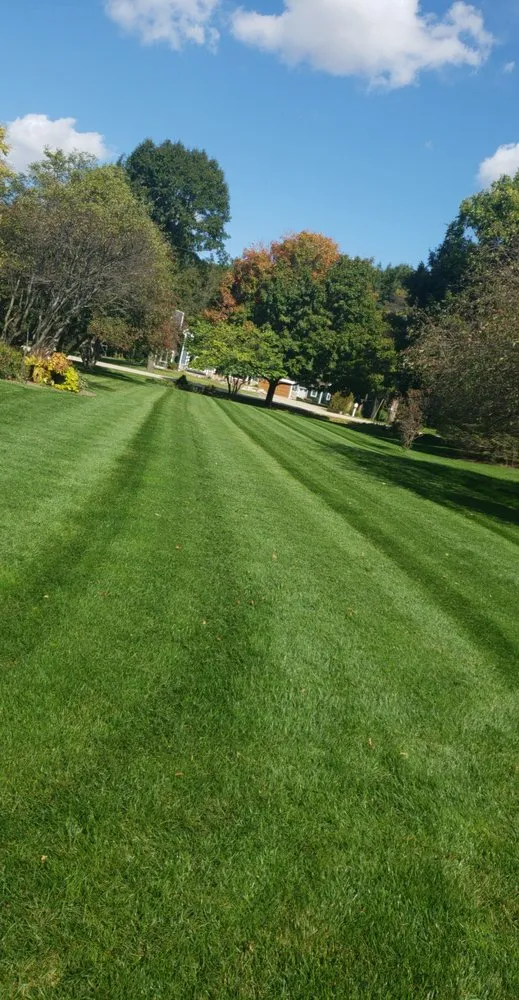 Top-rated yard cleanup service experts serving Watertown, WI - Watertown Outdoor Maintenance