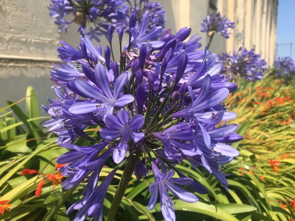 Custom lawn mowing service in Old Saybrook, CT - Waterview Landscaping