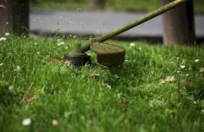 Affordable residential landscaping for residential properties in Hampstead, NC by Waterway Lawn Care
