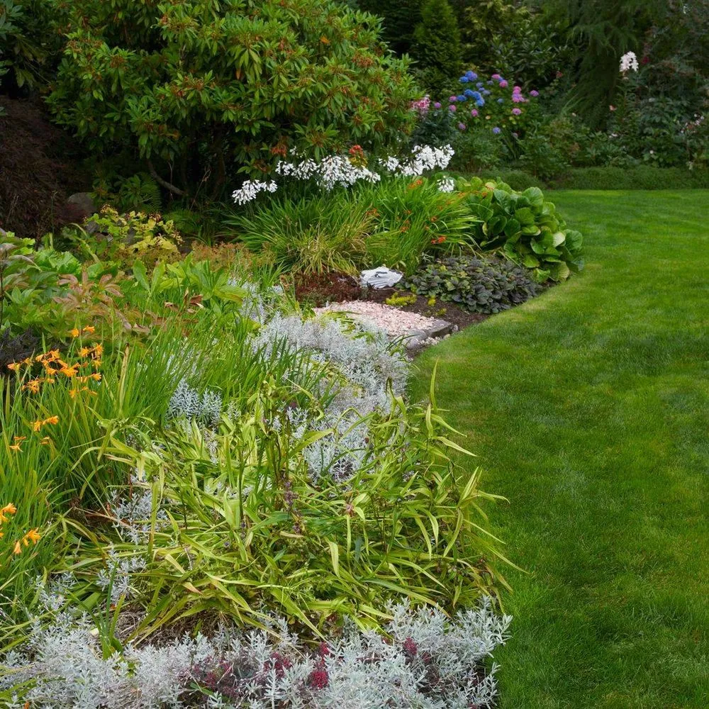 Local landscaping services in Hampstead, NC - Waterway Lawn Care