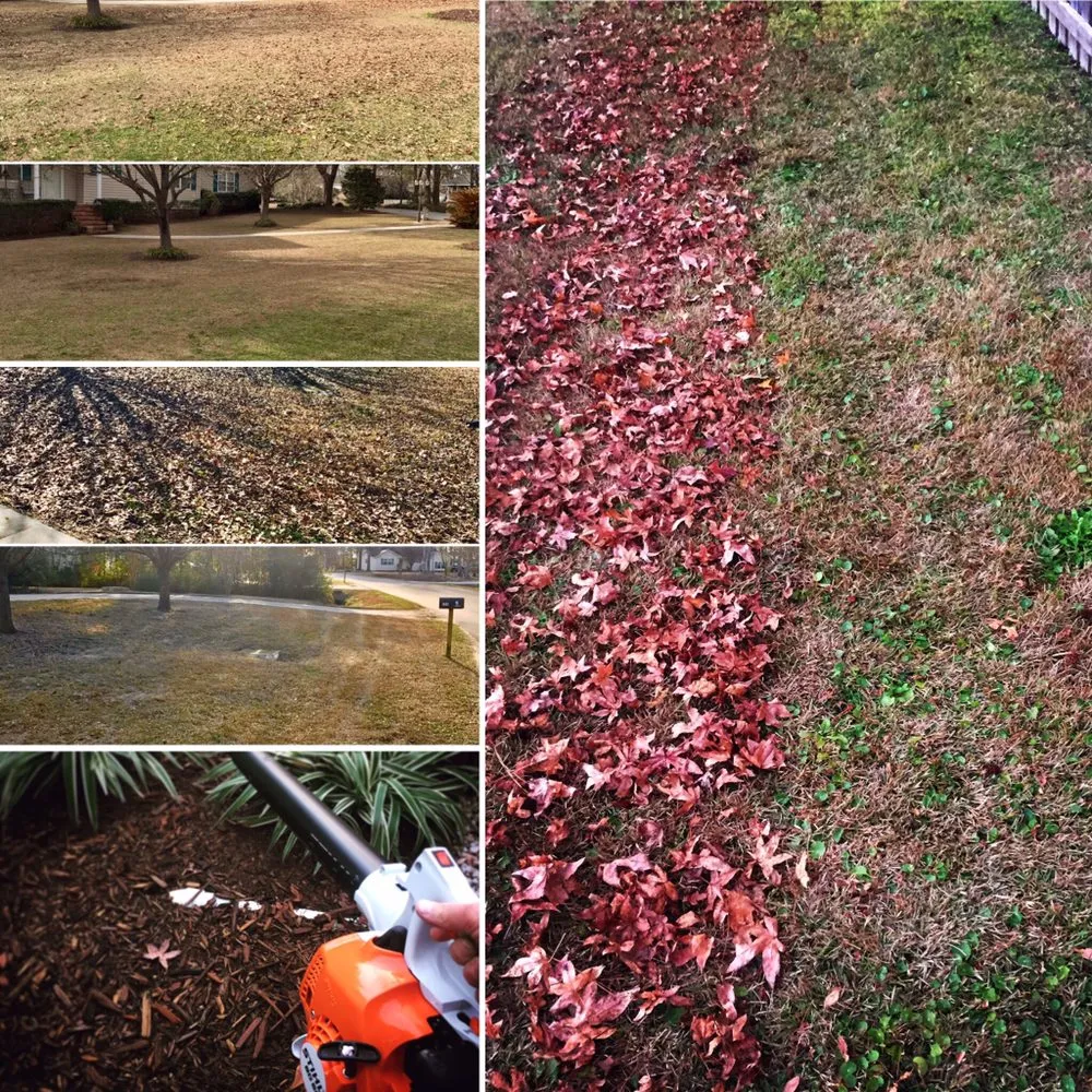 Professional garden landscaping for year-round maintenance across Hampstead, NC - Waterway Lawn Care