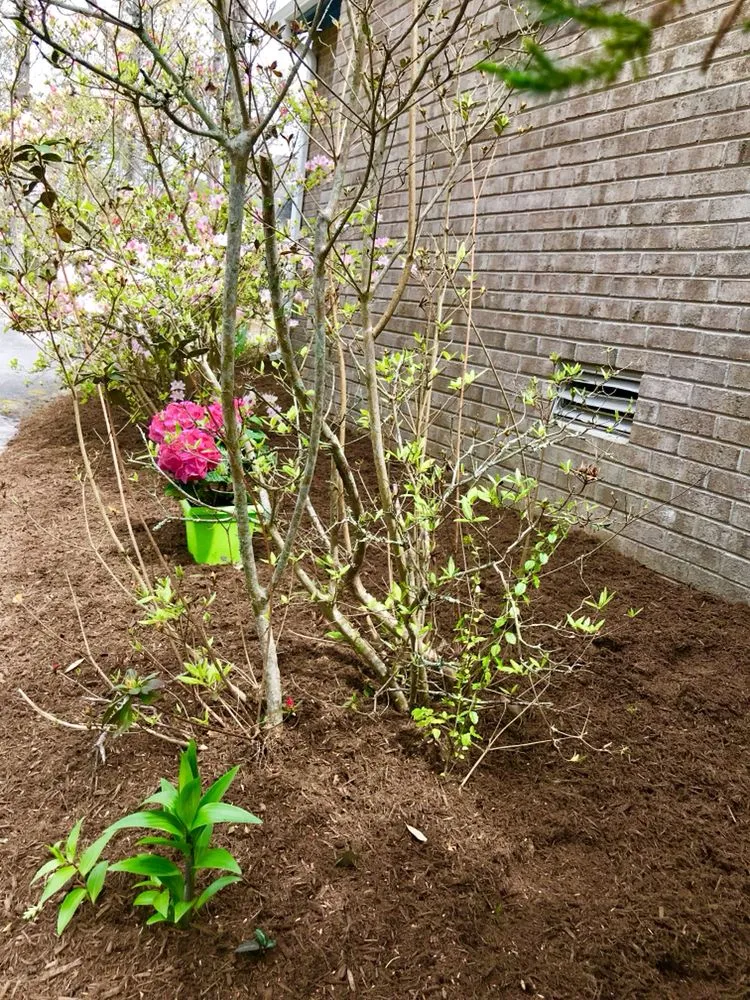 Top-rated lawn care service experts serving Hampstead, NC - Waterway Lawn Care