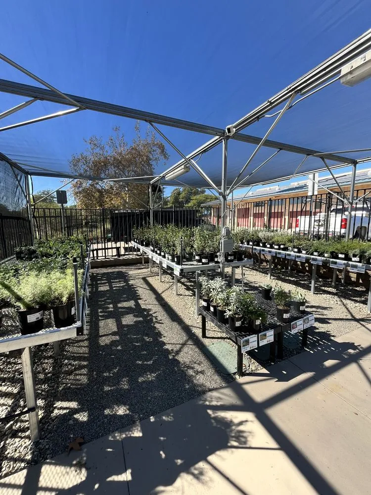 Local landscape design experts serving Montclair, CA - Waterwise Community Nursery