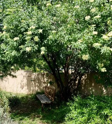 Waterwise Community Nursery