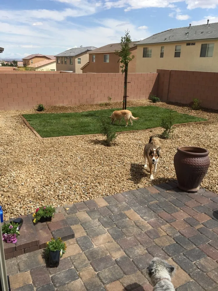 Trusted residential landscaping in Las Vegas, NV - WaterWise Landesign