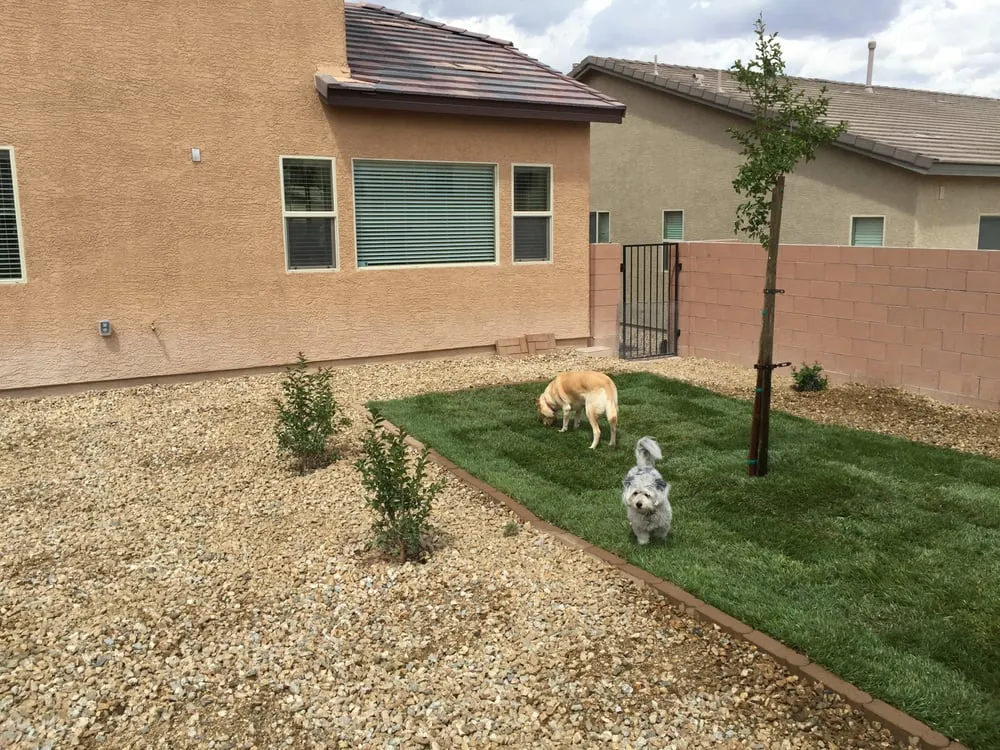 Reliable outdoor landscaping for beautiful yards across Las Vegas, NV - WaterWise Landesign