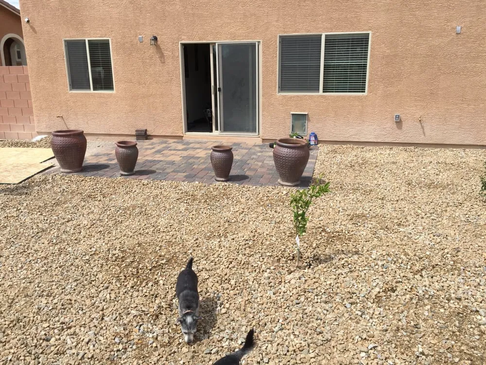 Custom outdoor landscaping in Las Vegas, NV - WaterWise Landesign