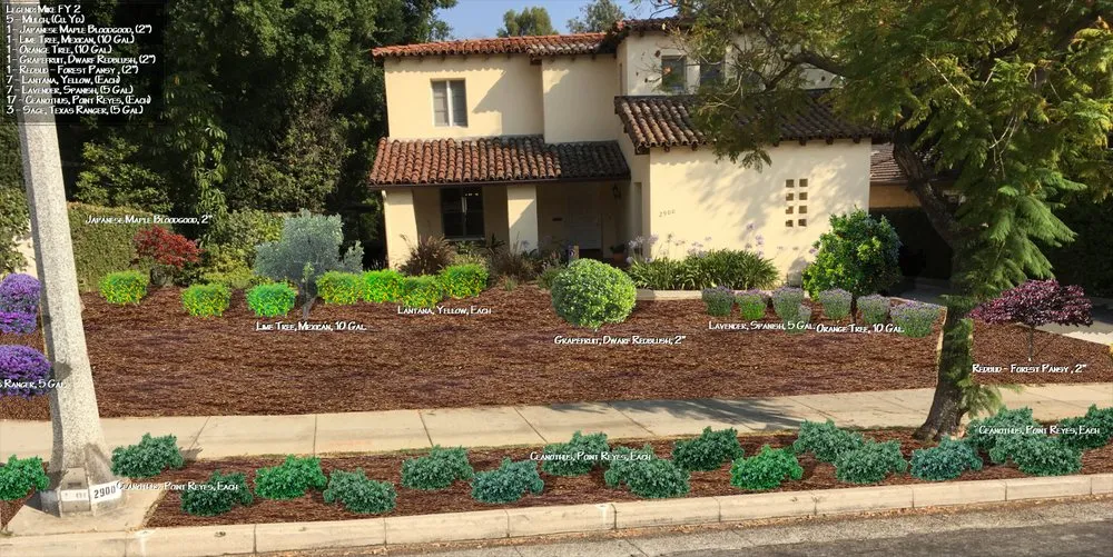 Professional lawn care service in Pasadena, CA - Waterwise Landscapes