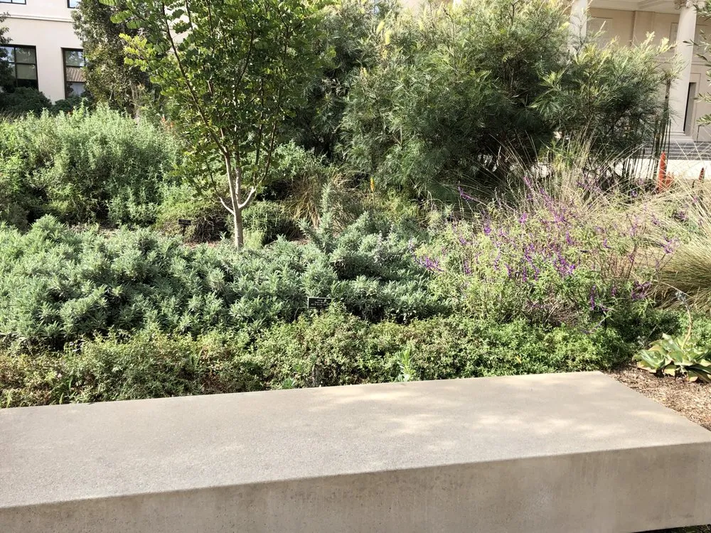 Expert lawn care service in Pasadena, CA by Waterwise Landscapes