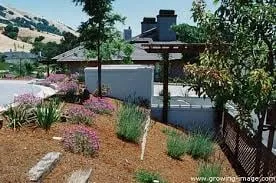 Top-rated residential landscaping experts serving Pasadena, CA - Waterwise Landscapes
