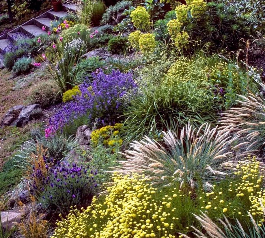 Trusted landscape installation near you across Pasadena, CA - Waterwise Landscapes
