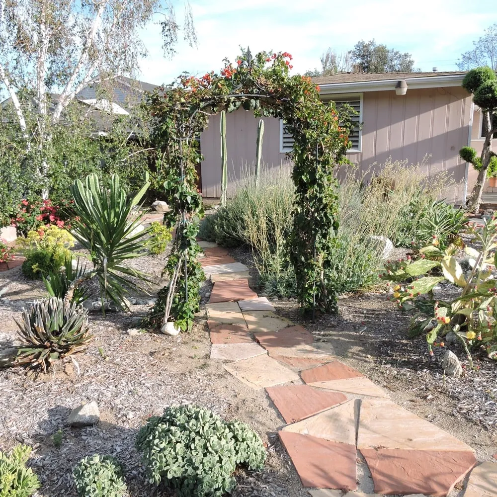 Professional garden landscaping in Pasadena, CA - Waterwise Landscapes