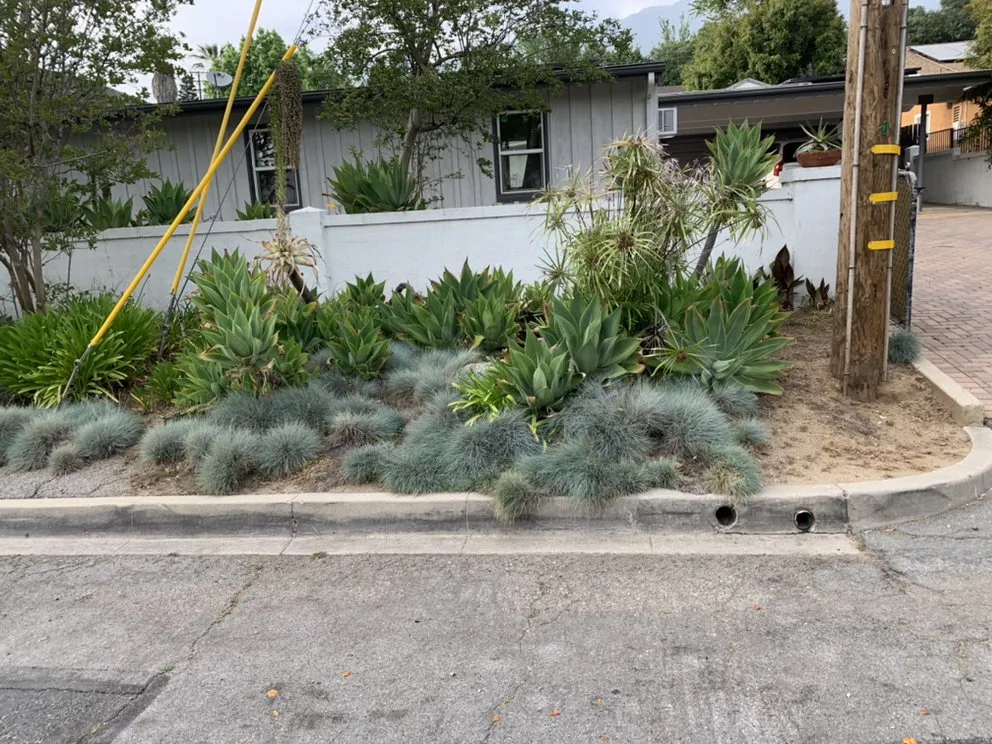 Affordable garden landscaping near you across Pasadena, CA - Waterwise Landscapes