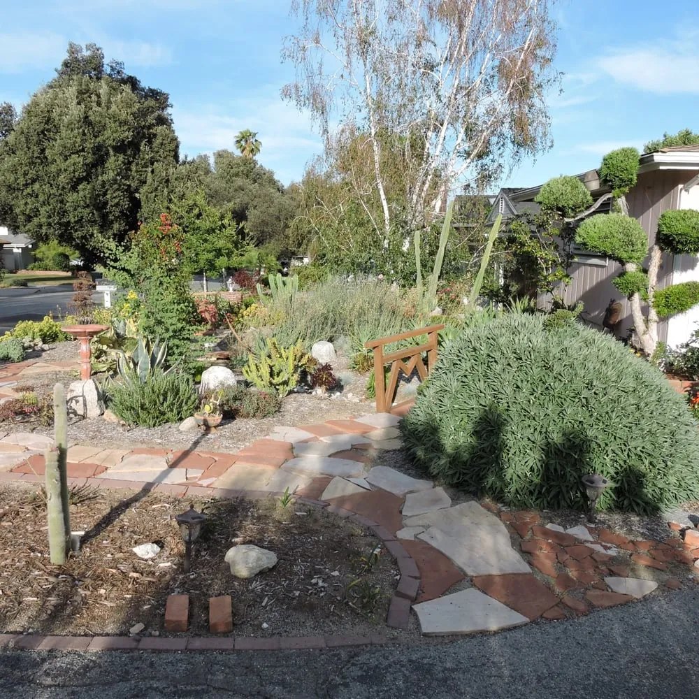 Custom landscape installation experts serving Pasadena, CA - Waterwise Landscapes
