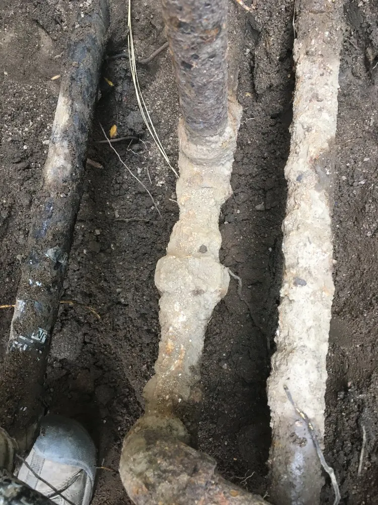 Top-rated residential landscaping experts serving Pasadena, CA - Waterwise Landscapes