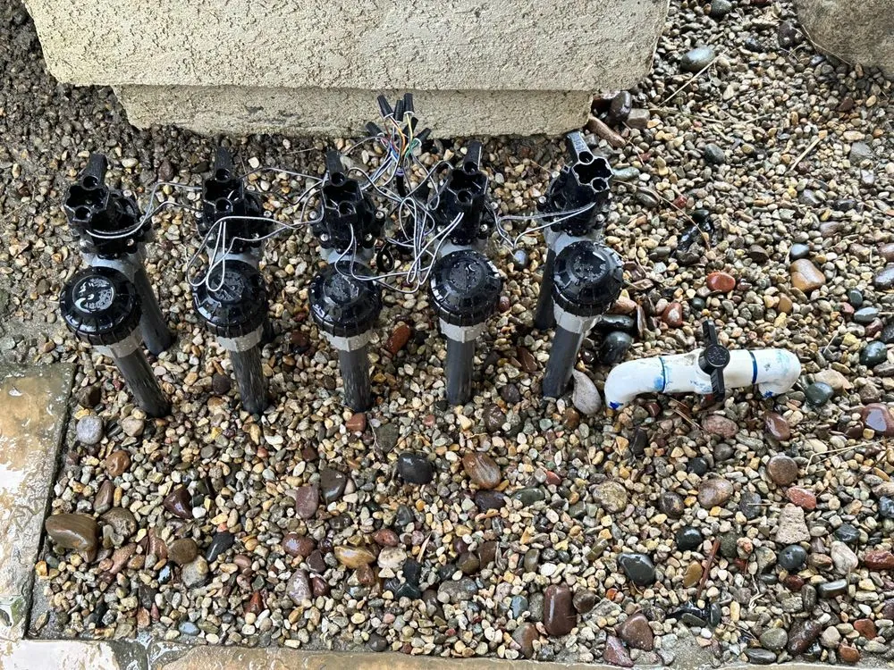 Expert landscaping services experts serving Los Angeles, CA - WaterWise Services