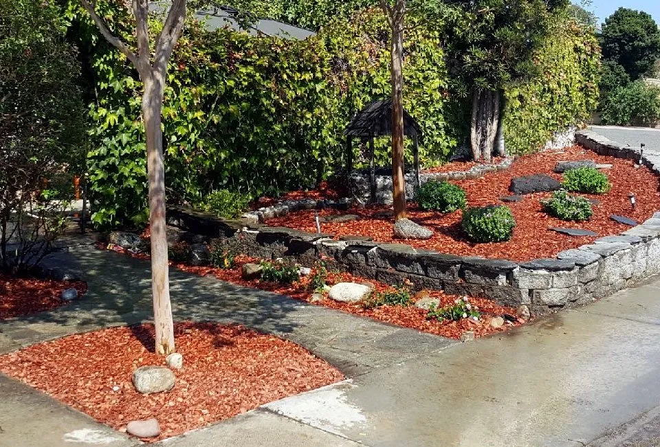 Local residential landscaping experts serving Los Angeles, CA - WaterWise Services