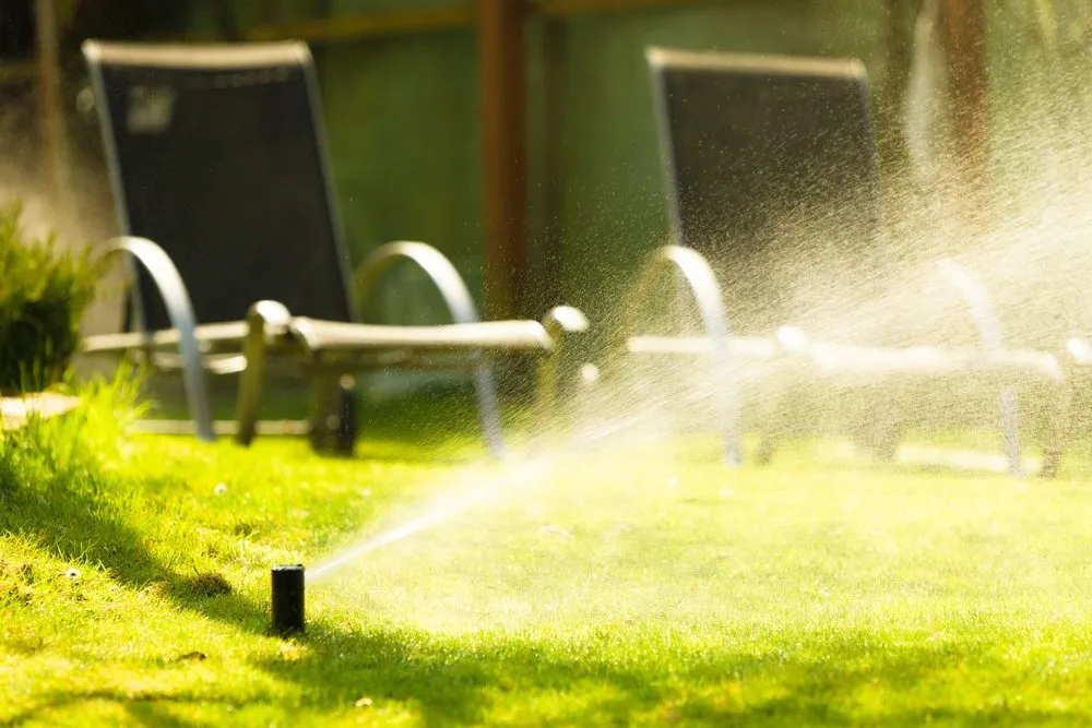 Local lawn care service for homes across Los Angeles, CA - WaterWise Services