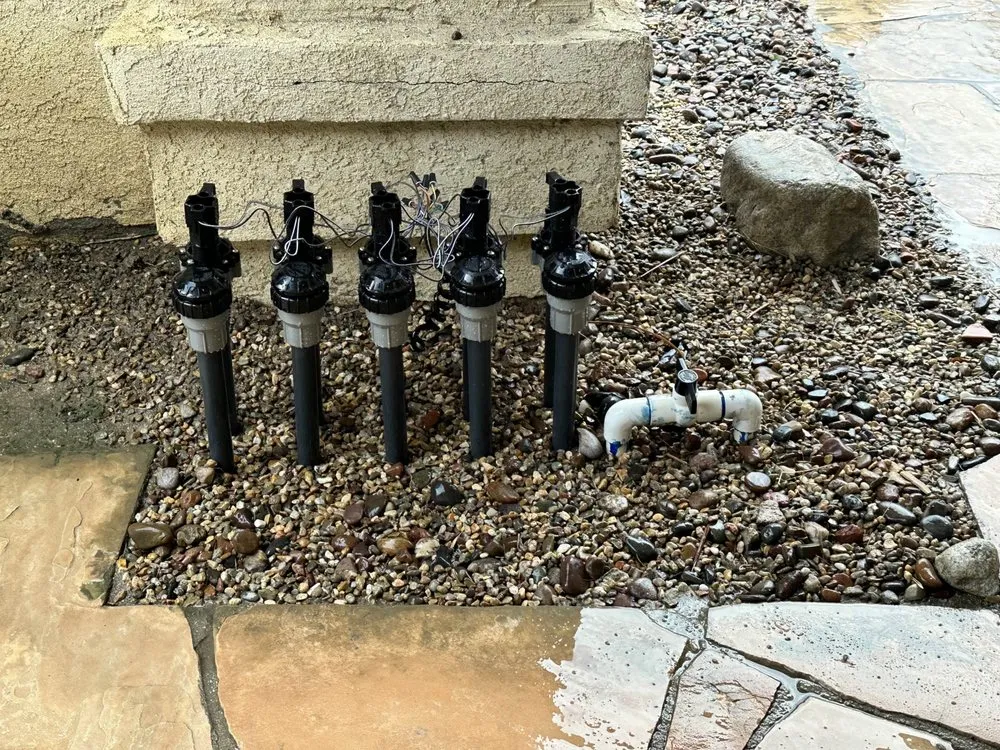 Expert landscaping services for year-round maintenance across Los Angeles, CA - WaterWise Services