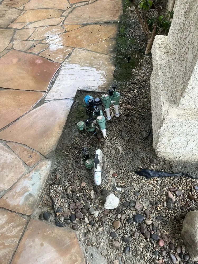 Reliable residential landscaping in Los Angeles, CA - WaterWise Services