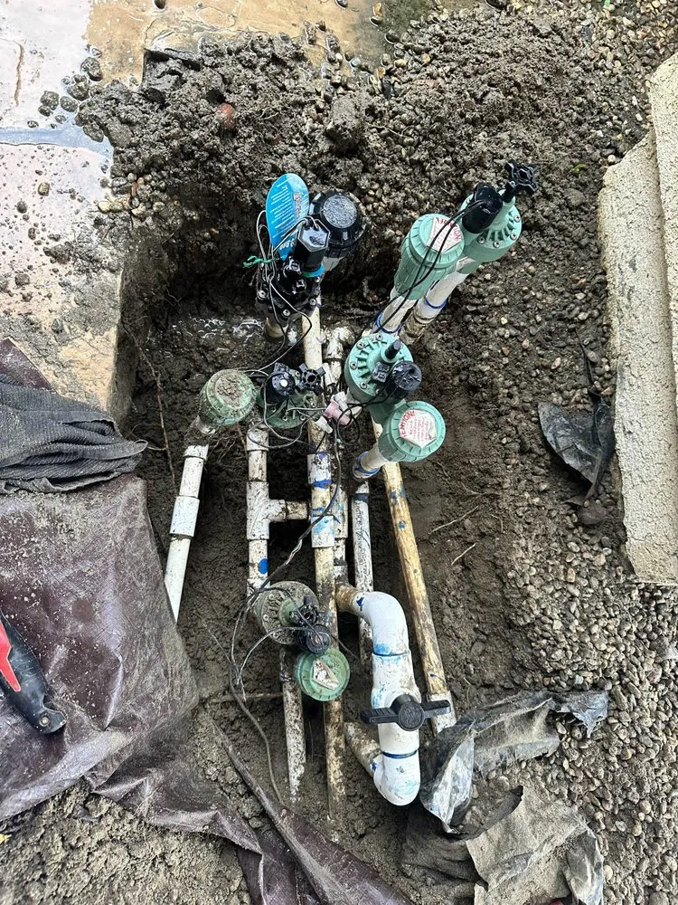 Professional lawn care service experts serving Los Angeles, CA - WaterWise Services