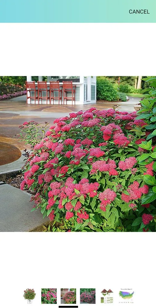 Affordable landscape design in Burlington, KY - Waterworks