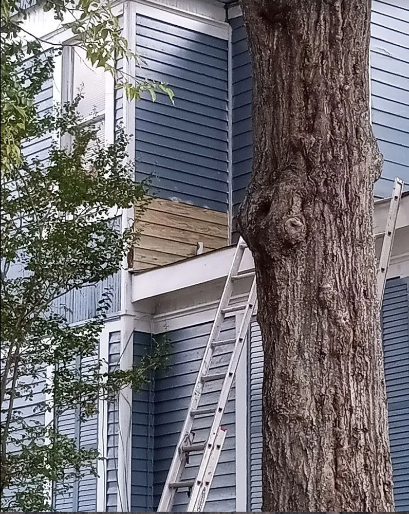 Affordable landscape installation in Manchester, GA by Watkins Home Improvement