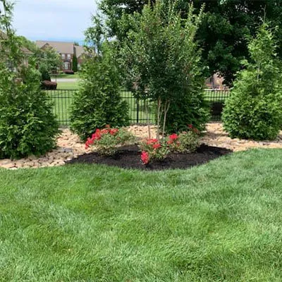 Top-rated residential landscaping in Gallatin, TN by Watkins Lawn Care