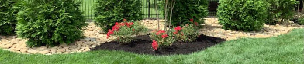 Expert yard maintenance in Gallatin, TN - Watkins Lawn Care