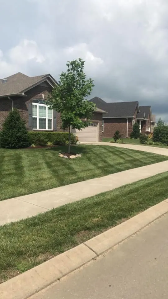 Local lawn mowing service in Gallatin, TN by Watkins Lawn Care