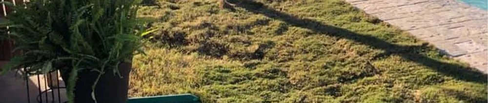 Local yard cleanup service for year-round maintenance in Gallatin, TN by Watkins Lawn Care