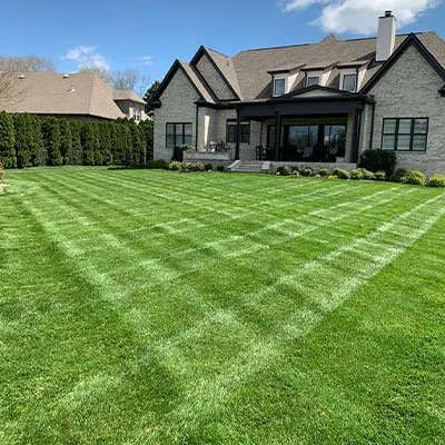 Trusted yard cleanup service in Gallatin, TN - Watkins Lawn Care