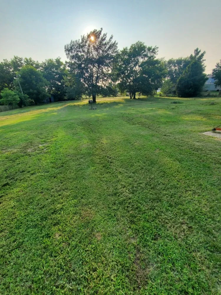 Trusted yard cleanup service in Oran, MO by Watkins Lawn Care