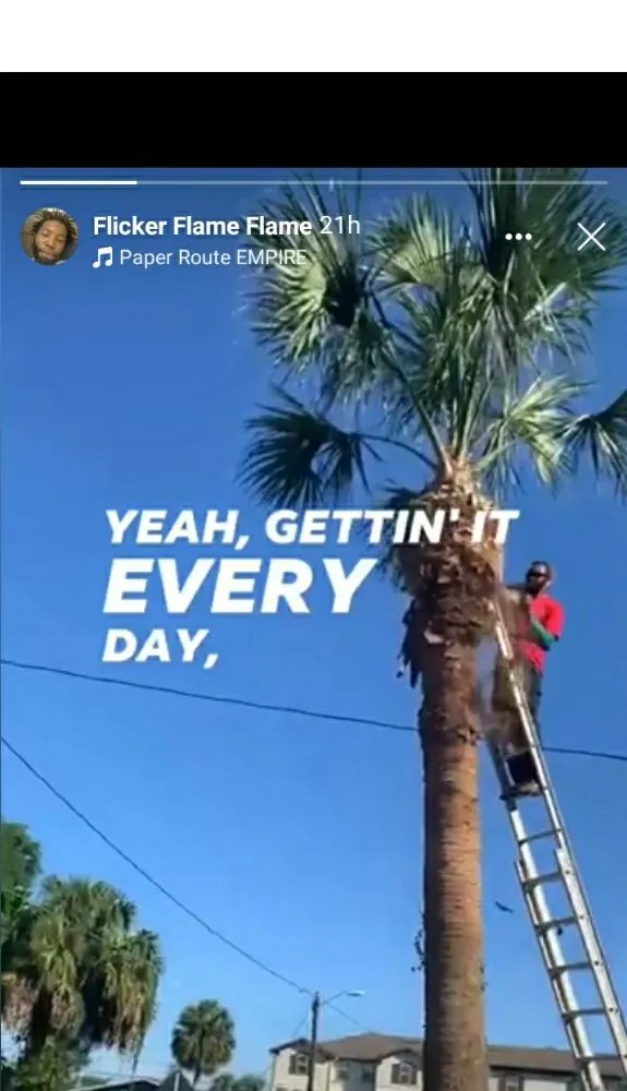 Trusted lawn mowing service in Altamonte Springs, FL by Watkins Lawn Maintenance & Landscaping