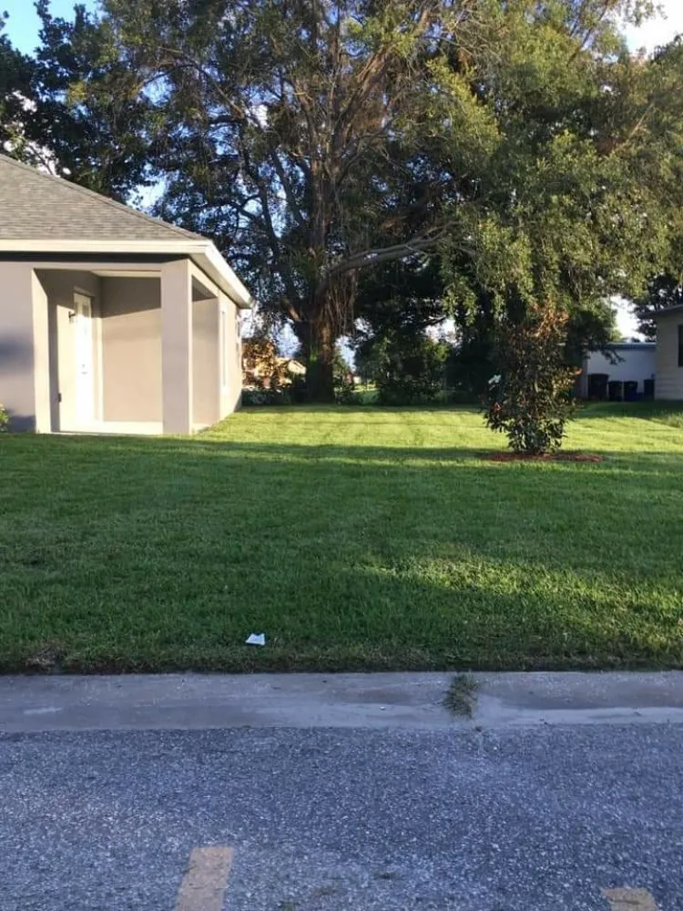 Local outdoor landscaping in Altamonte Springs, FL by Watkins Lawn Maintenance & Landscaping