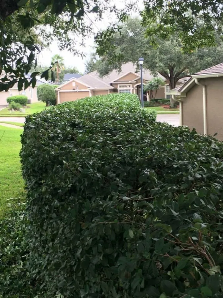 Custom lawn care service experts serving Altamonte Springs, FL - Watkins Lawn Maintenance & Landscaping