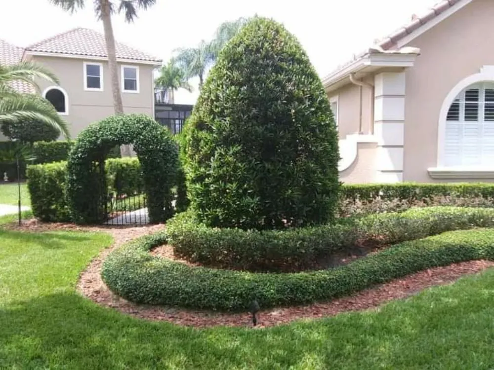 Top-rated lawn mowing service with custom design in Altamonte Springs, FL by Watkins Lawn Maintenance & Landscaping