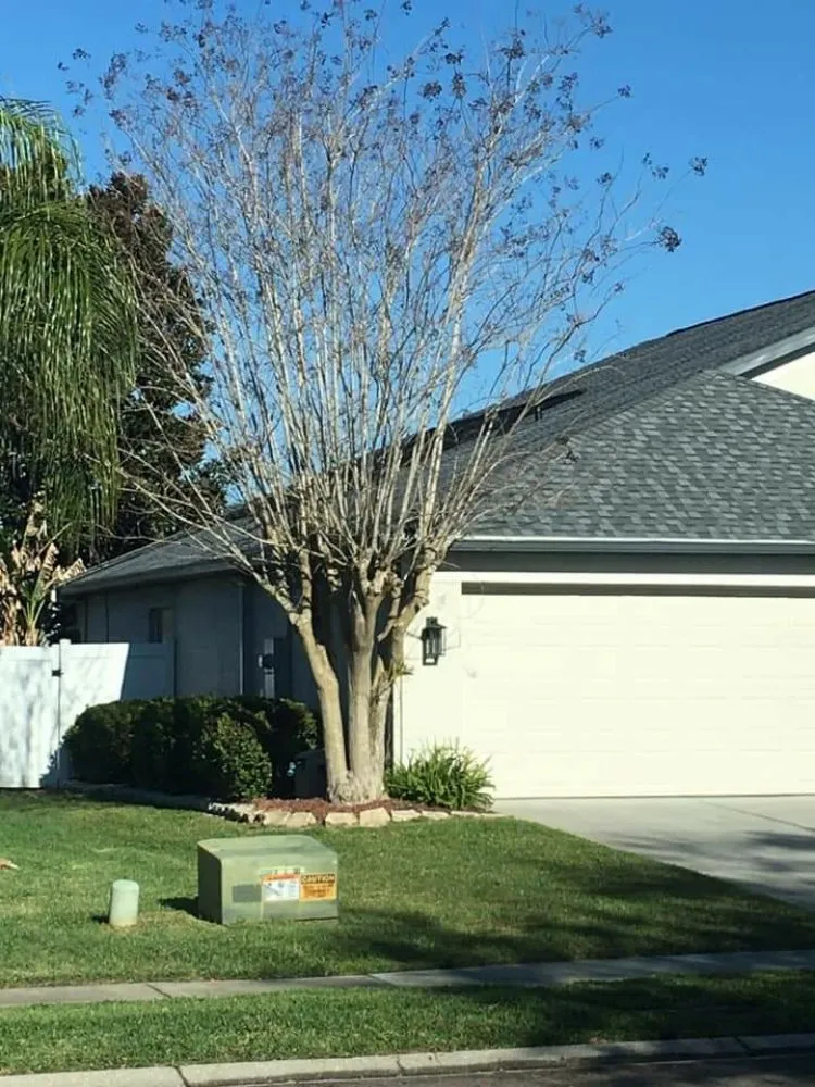 Affordable landscaping services for year-round maintenance across Altamonte Springs, FL - Watkins Lawn Maintenance & Landscaping