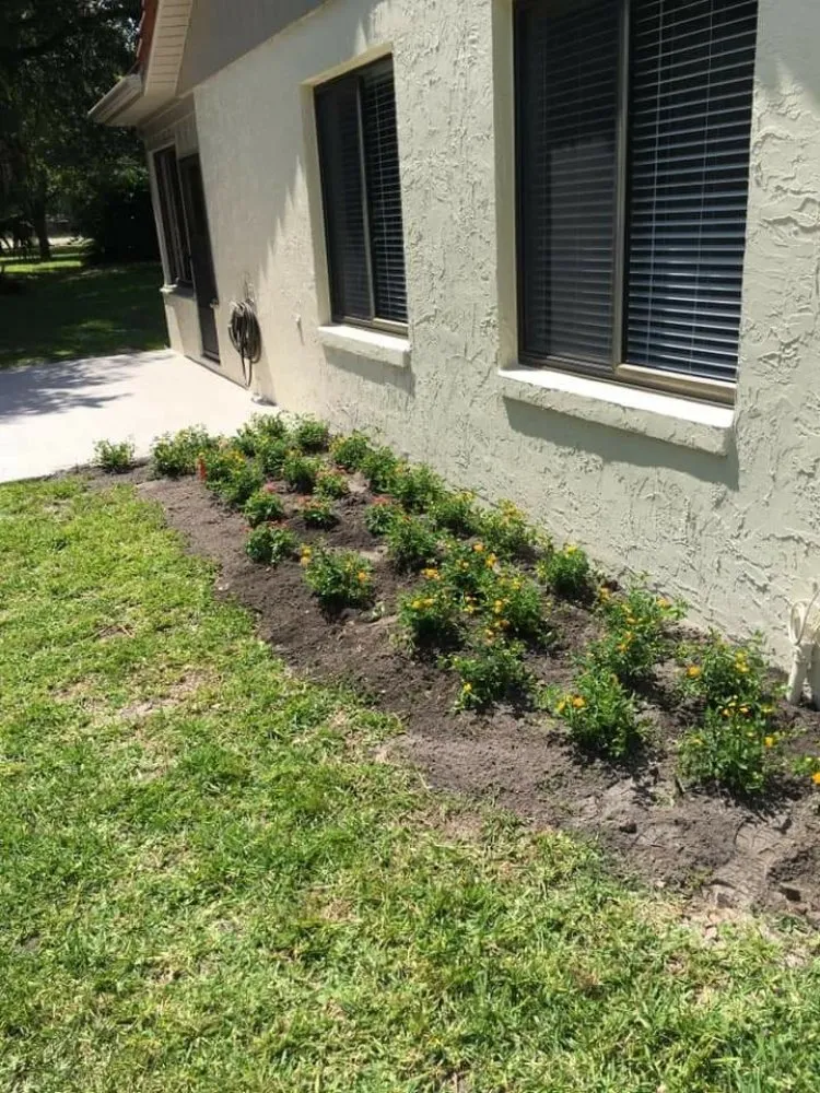 Local lawn care service experts serving Altamonte Springs, FL - Watkins Lawn Maintenance & Landscaping