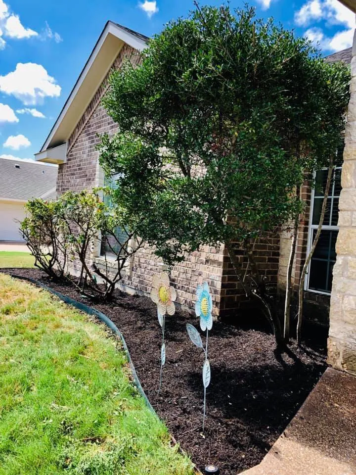 Local residential landscaping in Waco, TX by Watkins Lawn Services