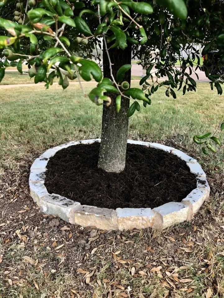 Reliable yard maintenance experts serving Waco, TX - Watkins Lawn Services